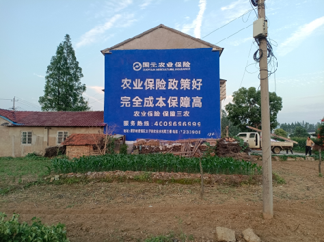 庐山市墙体广告为何受追捧？